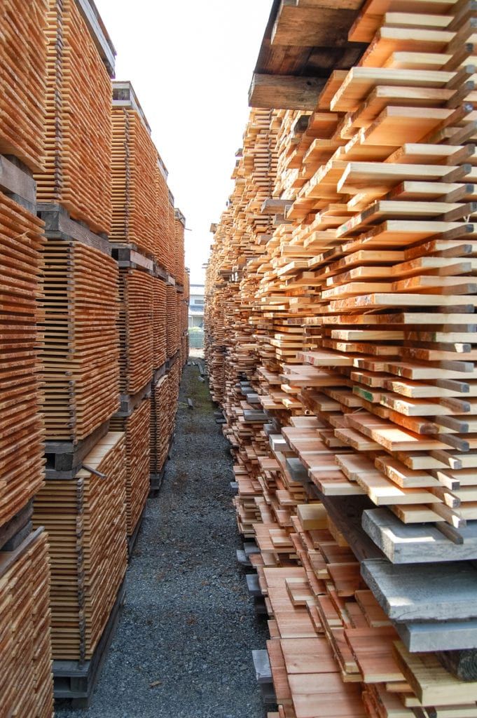 GỖ TRÀM XẺ SẤY (KILN-DRIED MELALEUCA)