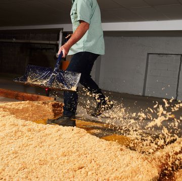 BỘT CƯA – SAWDUST / MÙN CƯA GỖ - gallery 3