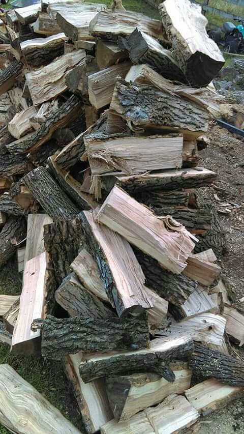 CỦI CAO SU (RUBBERWOOD FIREWOOD)