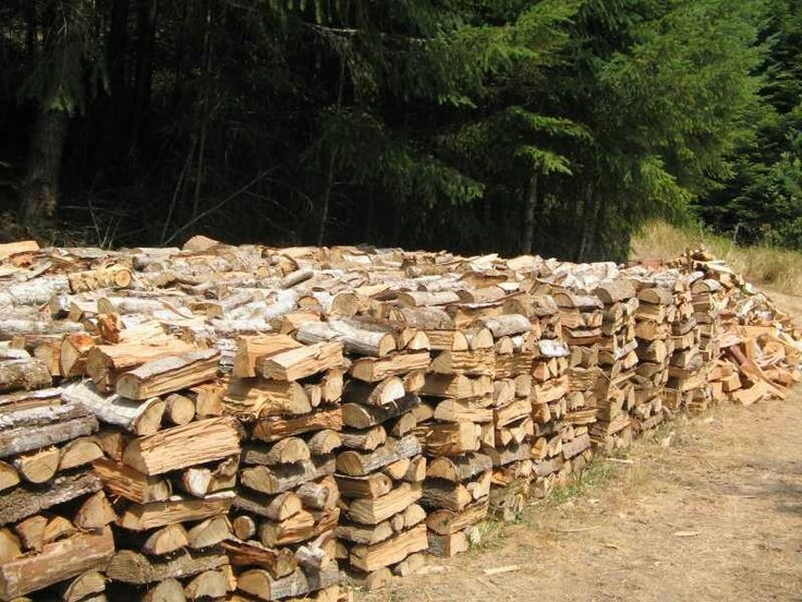 CỦI ĐỐT (FIREWOOD)