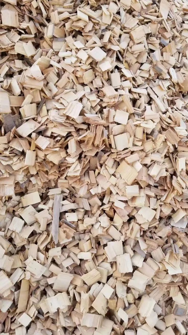 DĂM GỖ – WOOD CHIPS / WOOD SHAVINGS - gallery 2